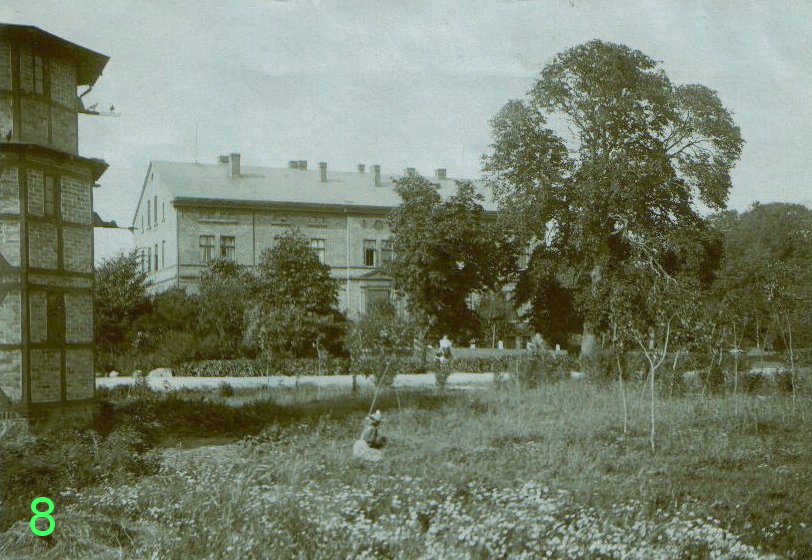 08 gribow 1902