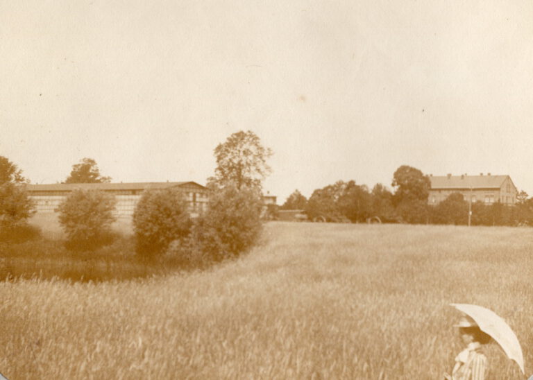 gribow 1905