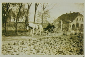 gribow schule