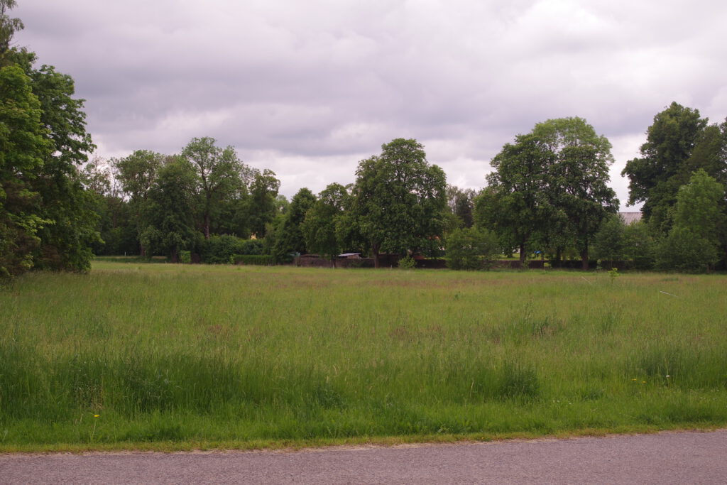 imgp9753