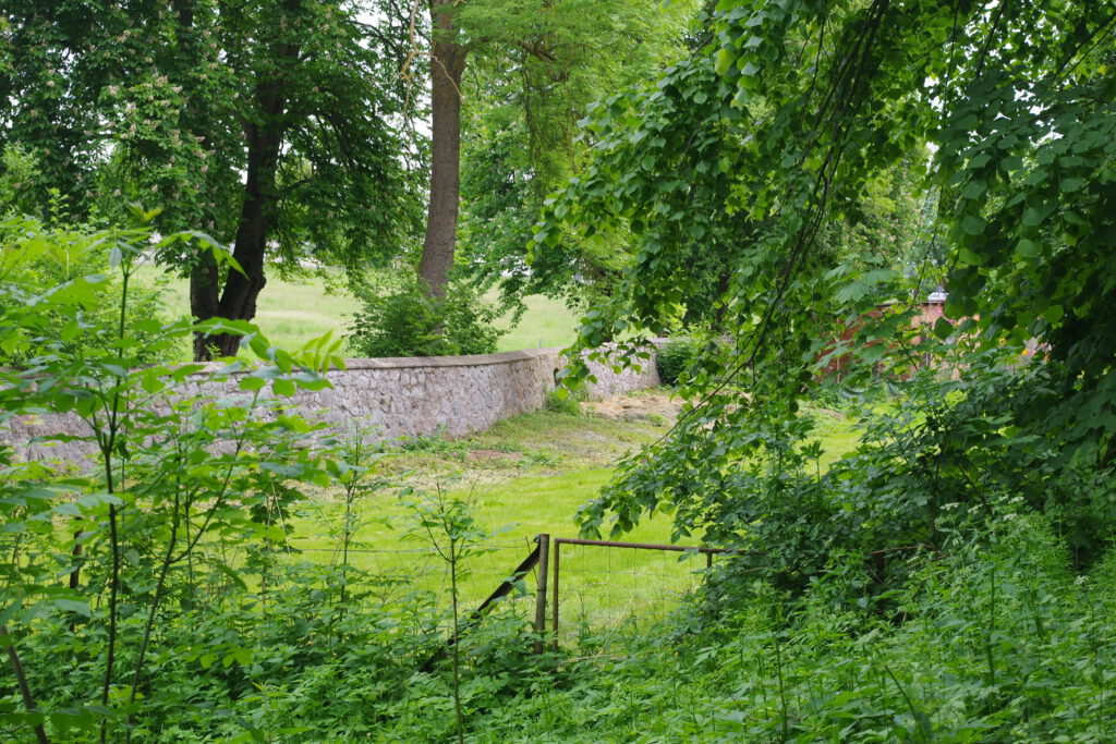 imgp9763