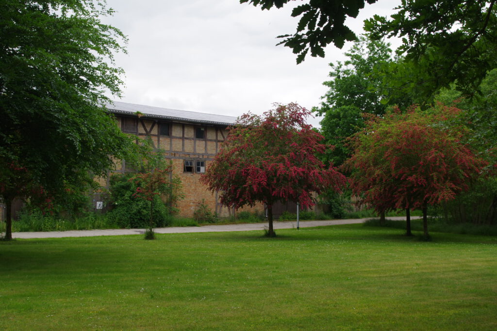 imgp9767
