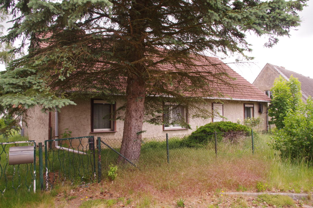 imgp9783