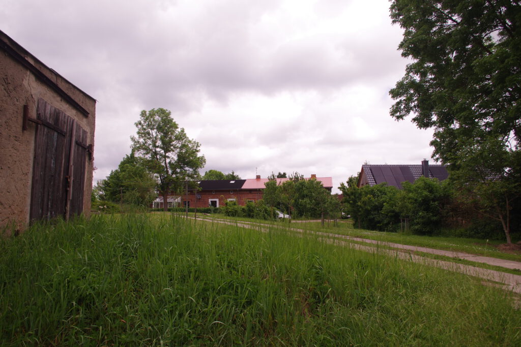 imgp9788