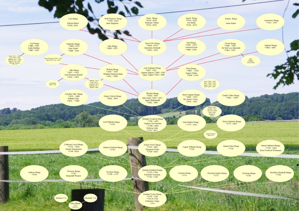 ahnentafel andersfarbenmit hintergrund p